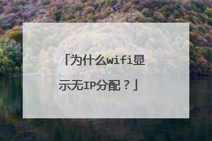 为什么wifi显示无IP分配?