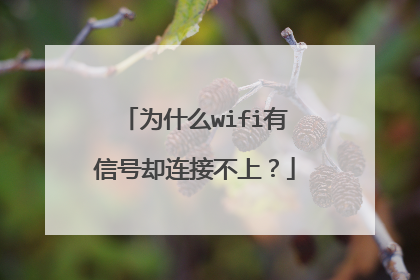 为什么wifi有信号却连接不上？