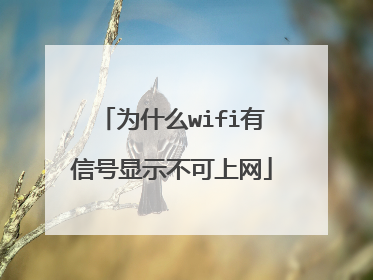 为什么wifi有信号显示不可上网