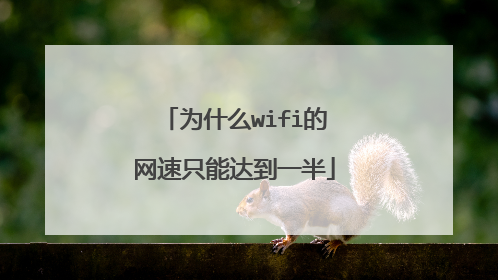 为什么wifi的网速只能达到一半