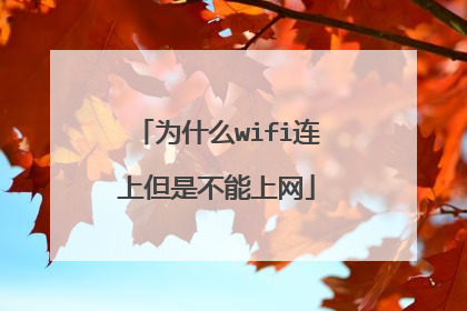 为什么wifi连上但是不能上网
