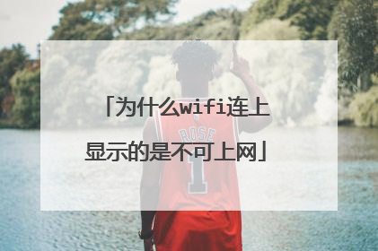 为什么wifi连上显示的是不可上网