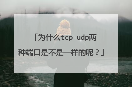 为什么tcp udp两种端口是不是一样的呢？