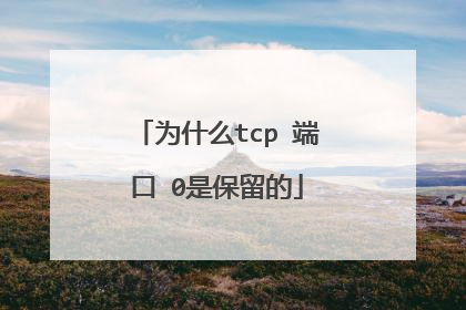 为什么tcp 端口 0是保留的