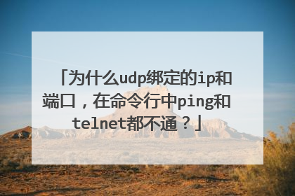 为什么udp绑定的ip和端口,在命令行中ping和telnet都不通?