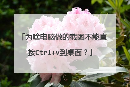 为啥电脑做的截图不能直接Ctrl+v到桌面?