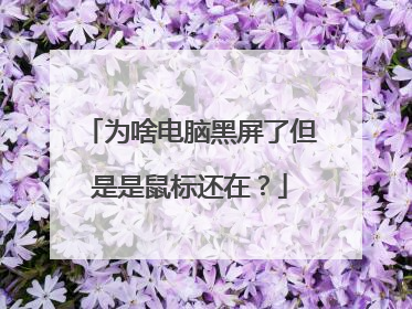 为啥电脑黑屏了但是是鼠标还在?