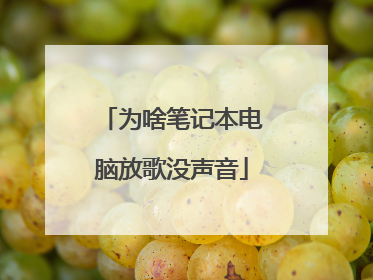 为啥笔记本电脑放歌没声音
