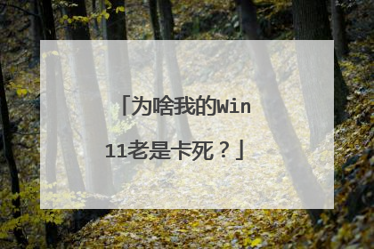 为啥我的Win11老是卡死？
