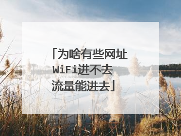 为啥有些网址WiFi进不去流量能进去