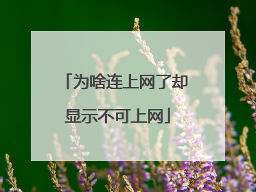 为啥连上网了却显示不可上网