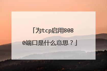为tcp启用8080端口是什么意思?