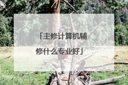 主修计算机辅修什么专业好