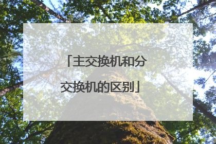 主交换机和分交换机的区别
