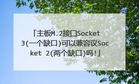 主板M.2接囗Socket 3(一个缺口)可以兼容议Socket 2(两个缺口)吗!
