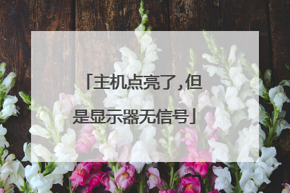 主机点亮了,但是显示器无信号