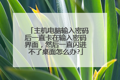 主机电脑输入密码后一直卡在输入密码界面,然后一直闪进不了桌面怎么办?