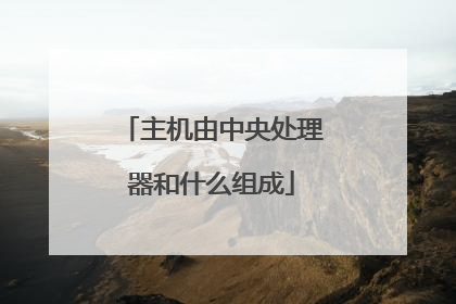 主机由中央处理器和什么组成