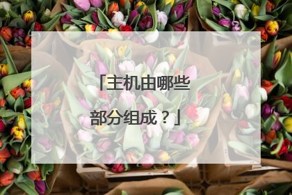 主机由哪些部分组成?
