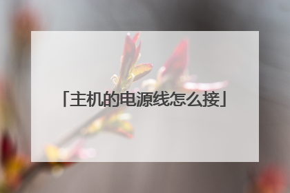 主机的电源线怎么接