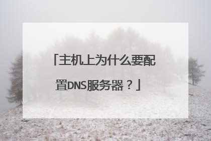 主机上为什么要配置DNS服务器?