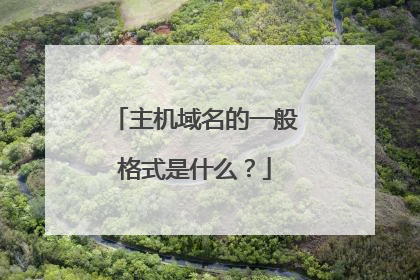 主机域名的一般格式是什么?
