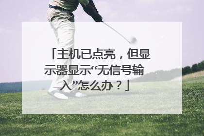 主机已点亮，但显示器显示“无信号输入”怎么办？