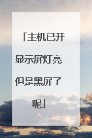 主机已开显示屏灯亮但是黑屏了呢
