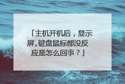 主机开机后,显示屏,键盘鼠标都没反应是怎么回事?