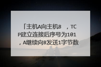 主机A向主机B ,TCP建立连接后序号为101,A继续向B发送1字节数据,就不发了,那么B的确认帧的确认序号?