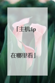 主机ip在哪里看