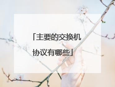 主要的交换机协议有哪些
