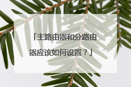 主路由器和分路由器应该如何设置？