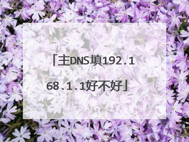 主DNS填192.168.1.1好不好