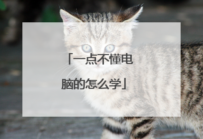 一点不懂电脑的怎么学