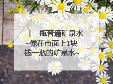 一瓶普通矿泉水~像在市面上1块钱一瓶的矿泉水~它的出厂价钱是多少?盈利多少?
