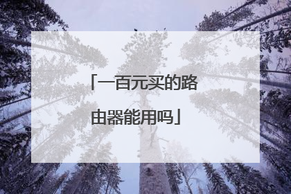 一百元买的路由器能用吗
