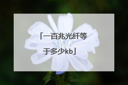 一百兆光纤等于多少kb