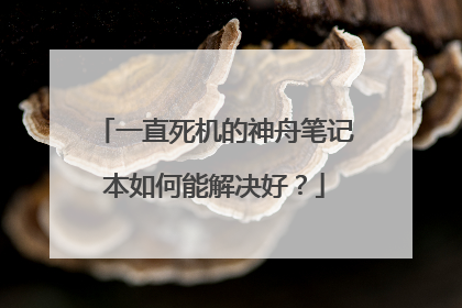 一直死机的神舟笔记本如何能解决好？