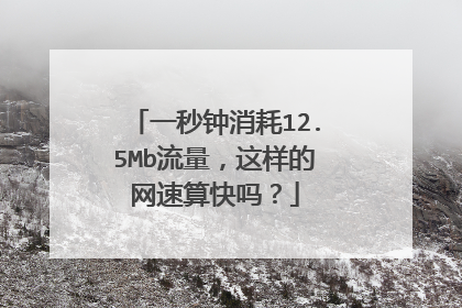 一秒钟消耗12.5Mb流量,这样的网速算快吗?