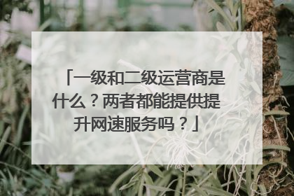 一级和二级运营商是什么?两者都能提供提升网速服务吗?