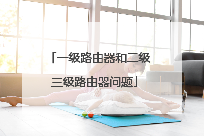 一级路由器和二级三级路由器问题