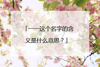 一一这个名字的含义是什么意思？