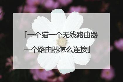 一个猫一个无线路由器一个路由器怎么连接