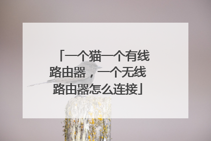 一个猫一个有线路由器,一个无线路由器怎么连接
