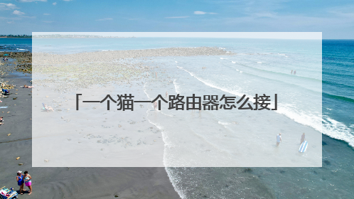 一个猫一个路由器怎么接