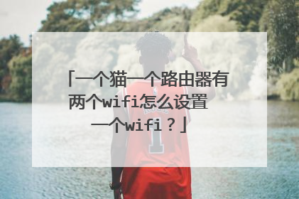 一个猫一个路由器有两个wifi怎么设置一个wifi?
