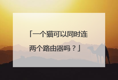 一个猫可以同时连两个路由器吗?