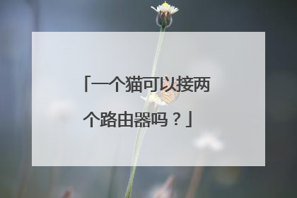 一个猫可以接两个路由器吗?
