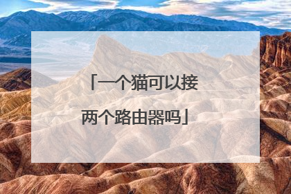 一个猫可以接两个路由器吗